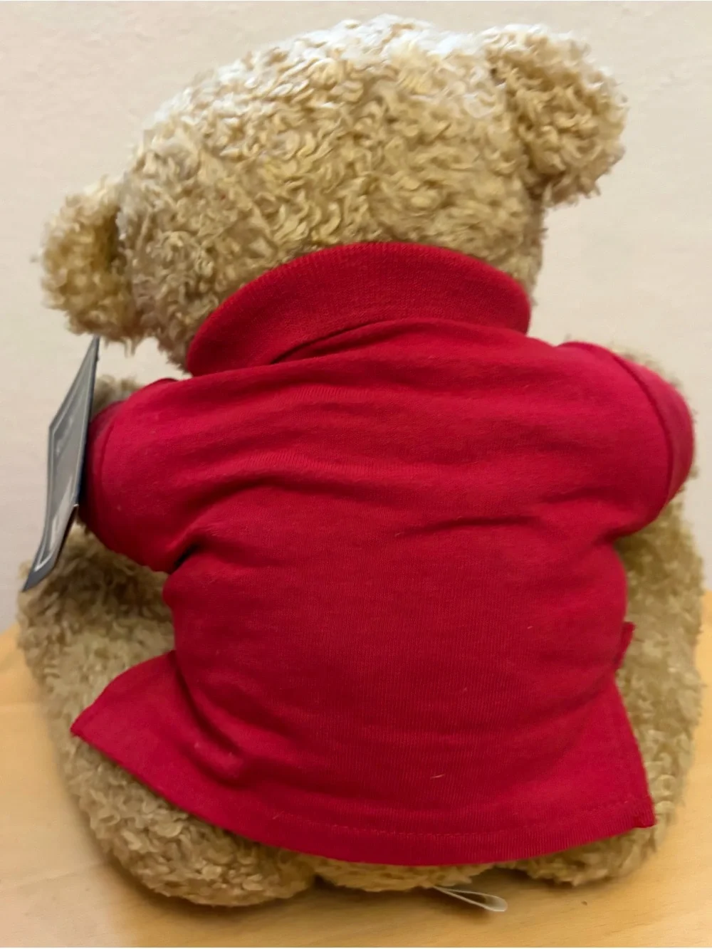 Vintage Ralph Lauren Red Polo Teddy Bear Plush Curly Hair Articulated Limbs NWT